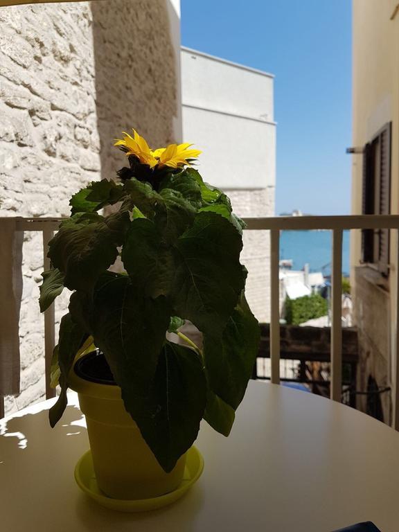 La Banchina Holiday Rooms Trani Luaran gambar